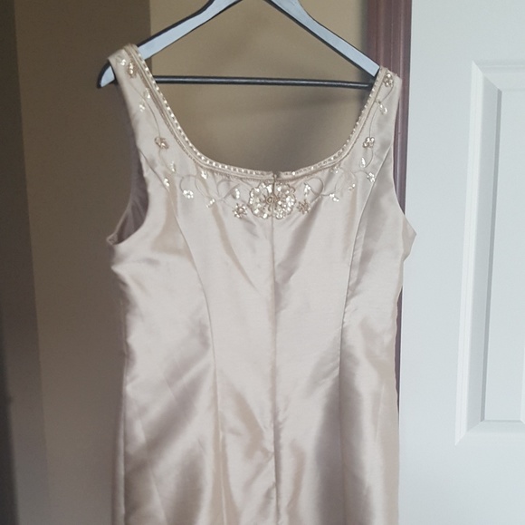 Champagne Color Dress - Picture 4 of 6